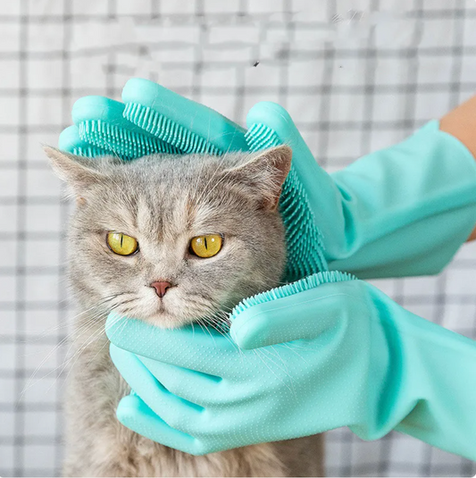 The Grooming Glove