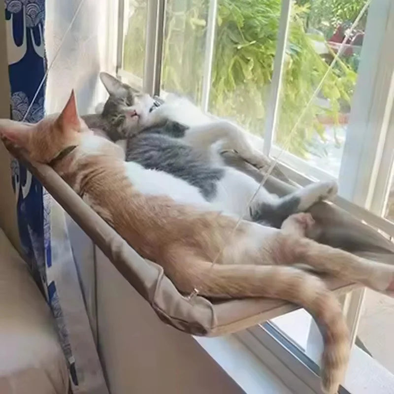The Window Perch