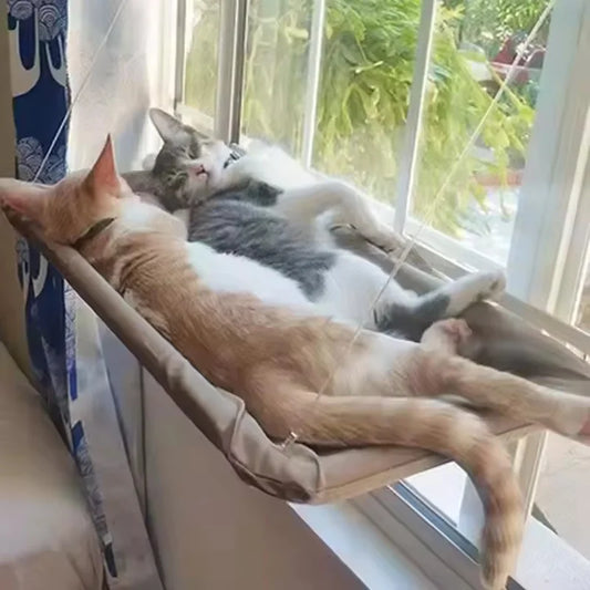 The Window Perch