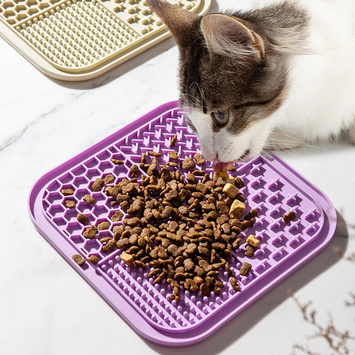 Cat eating from a purple silicone mat with pet food on a white surface