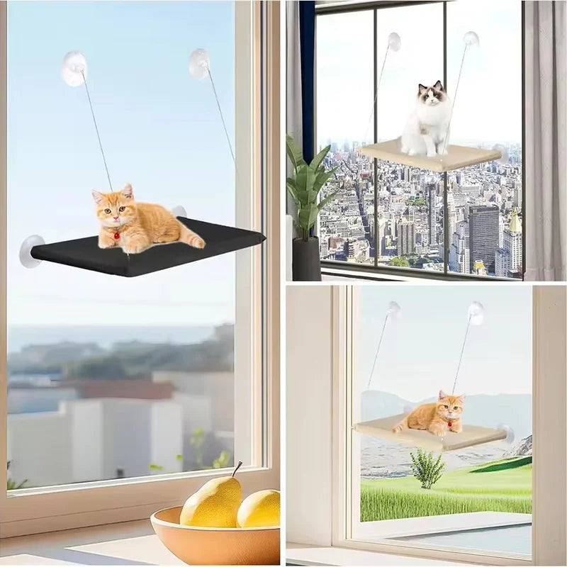 The Window Perch