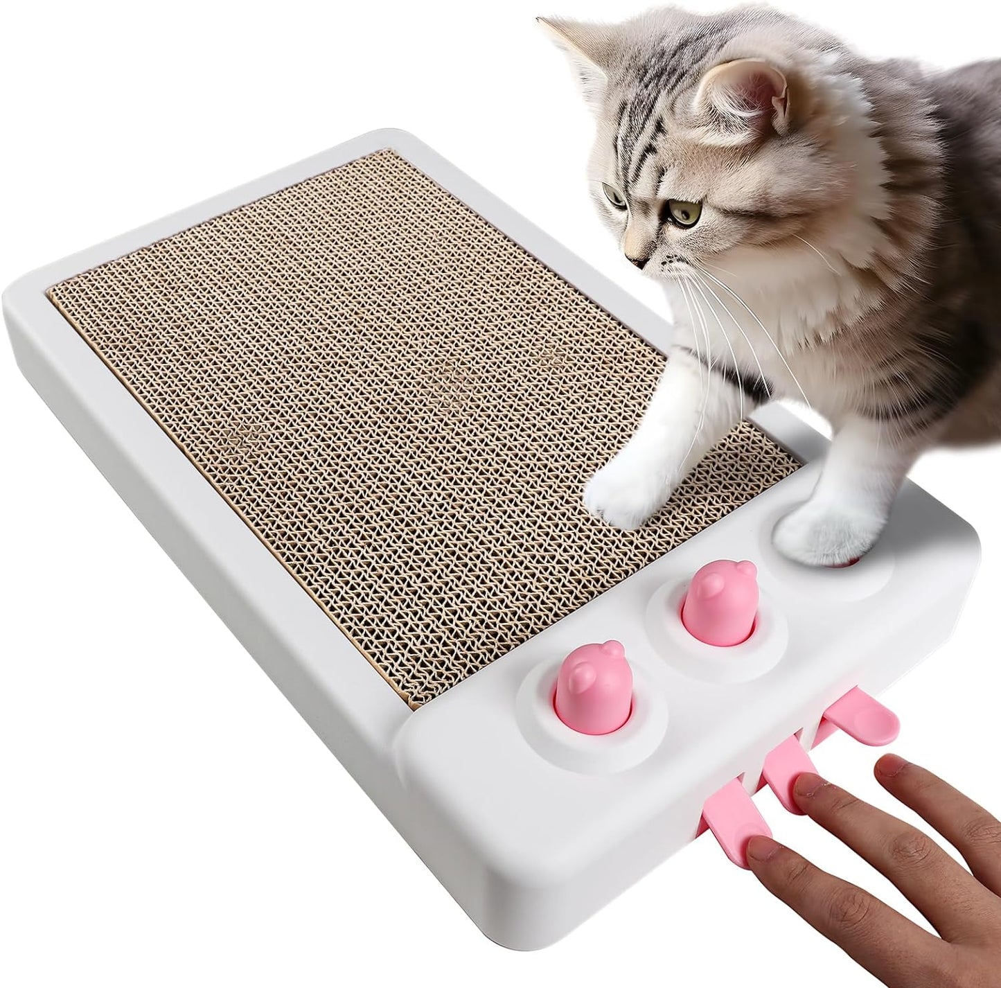 Cat using The Whack Pad scratcher and batting at the mole holes