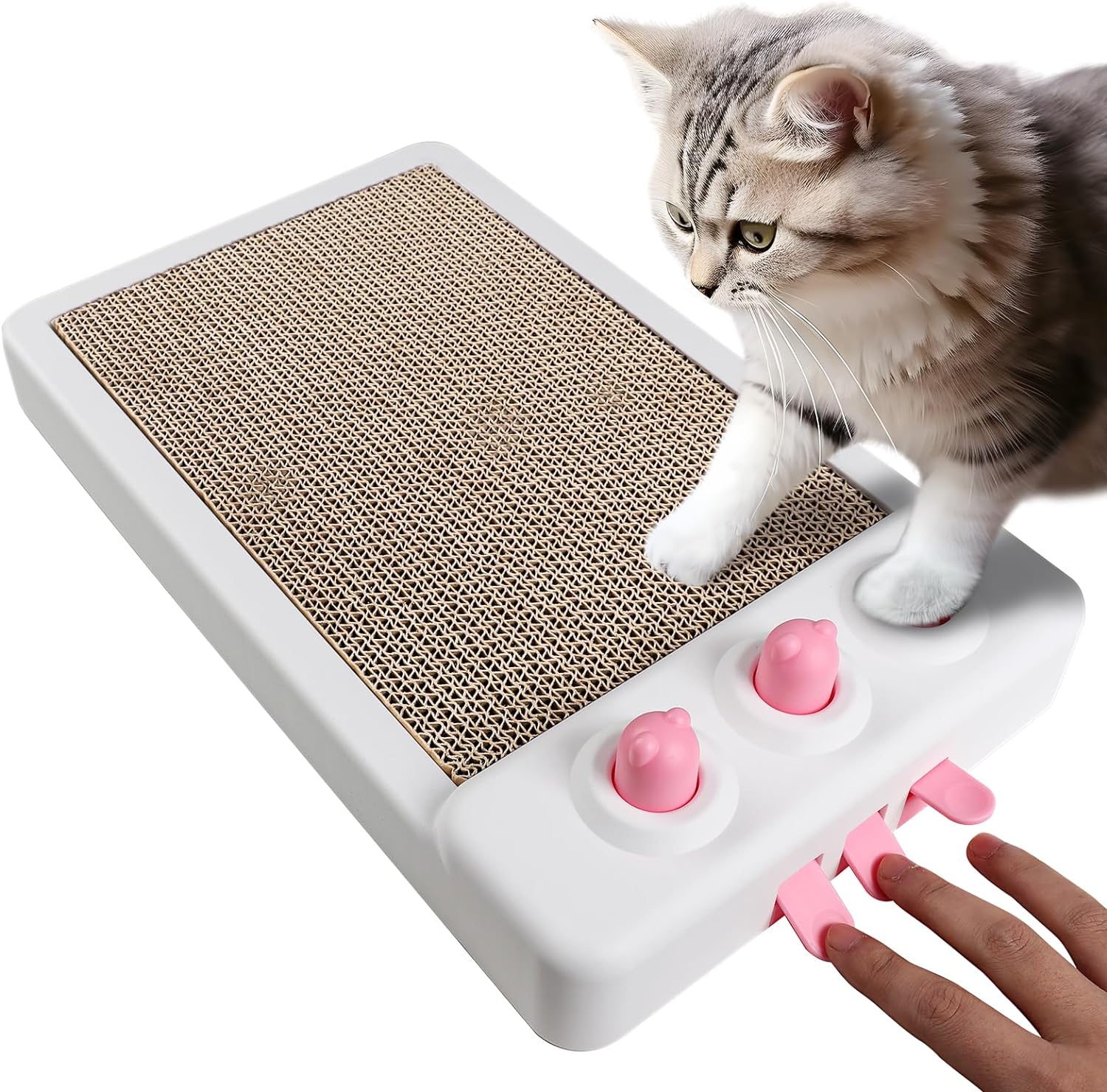 Cat using The Whack Pad scratcher and batting at the mole holes
