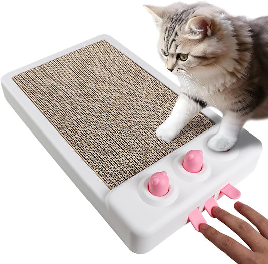 Cat using The Whack Pad scratcher and batting at the mole holes
